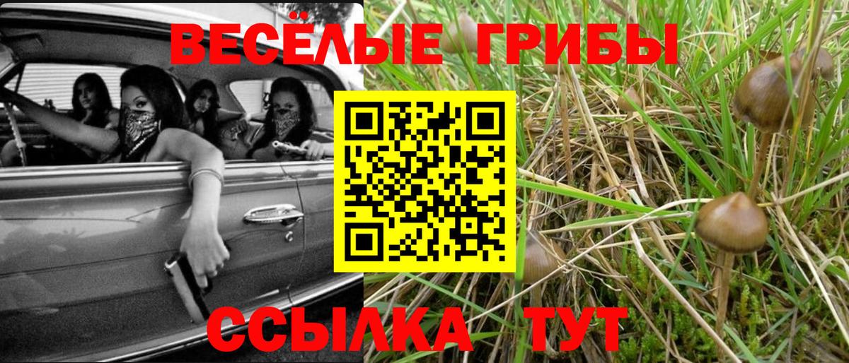 Галлюциногенные грибы Cubensis Подольск