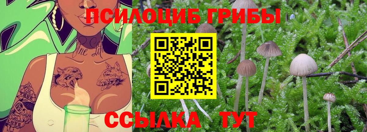 Псилоцибиновые грибы мухоморы  Вход с VPN  Галлюциногенные грибы MAGIC MUSHROOMS  Подольск 